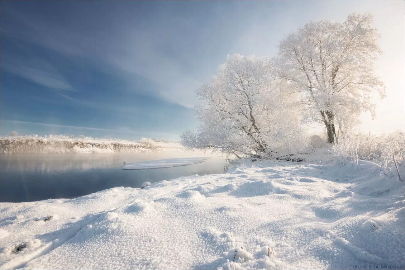 Зимно