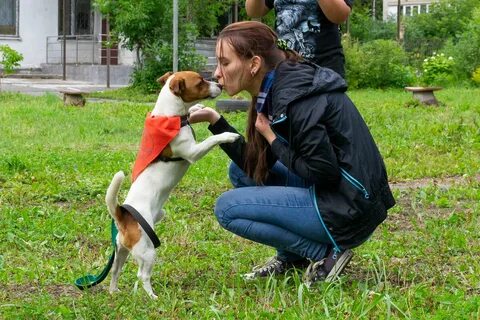 Дистанционная дрессировка зрелок