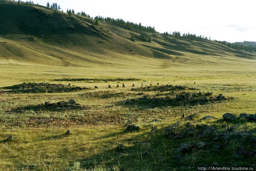 Пазырыкские Курганы горный Алтай. Урочище Пазырык Алтай. Пазырыкские Курганы Алтайский край. Пазырыкские Курганы в Горном Алтае.