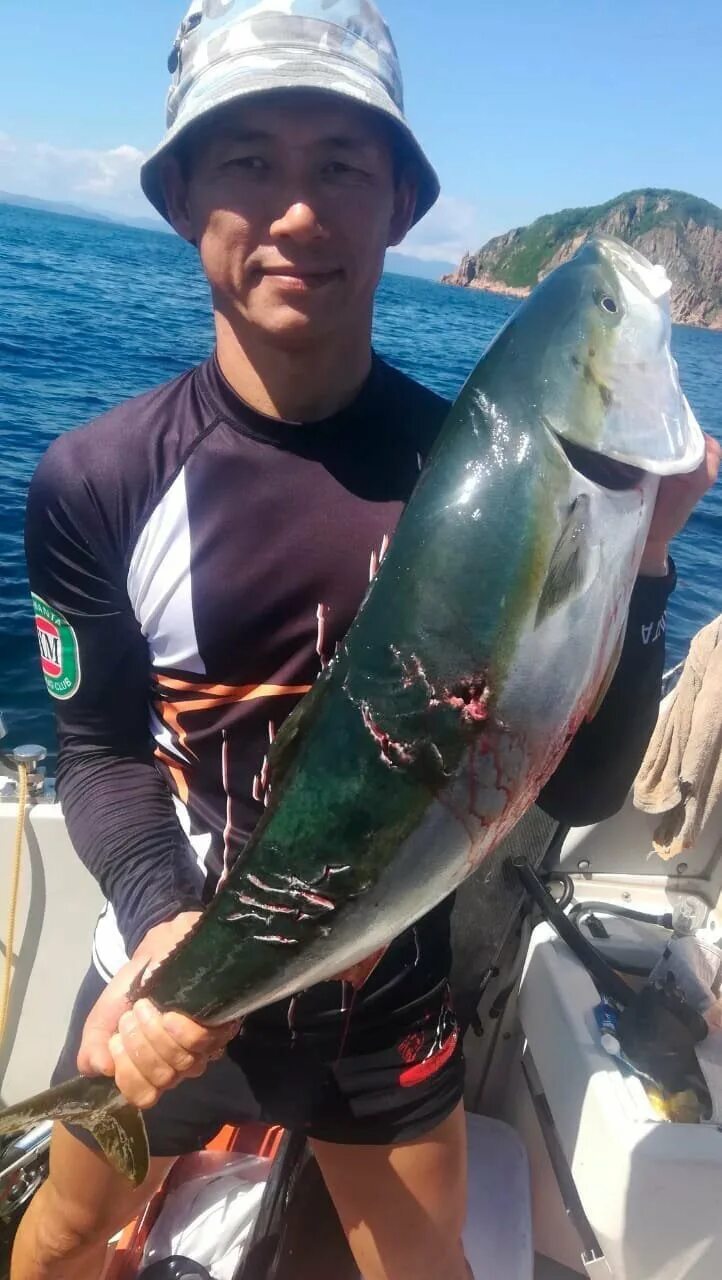 Акулы во владивостоке. Акулы в японском море. Акулы японского моря Приморье.