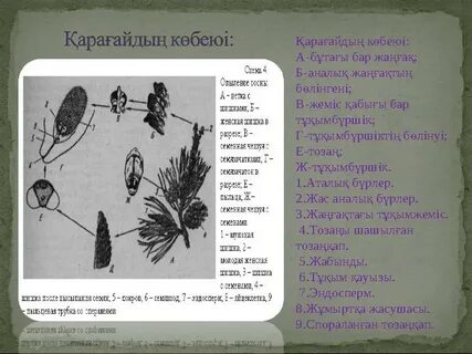 Анна Фролова порно фотосуреттер