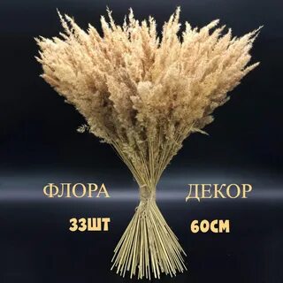 Трава сухоцвет