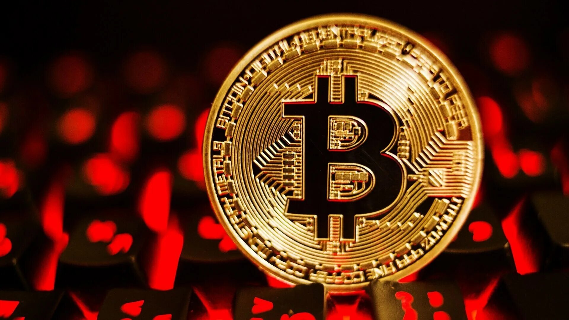 В каком году был создан bitcoin. Биткоин. bitcoin картинка. красный биткоин. криптовалюта биткоин.