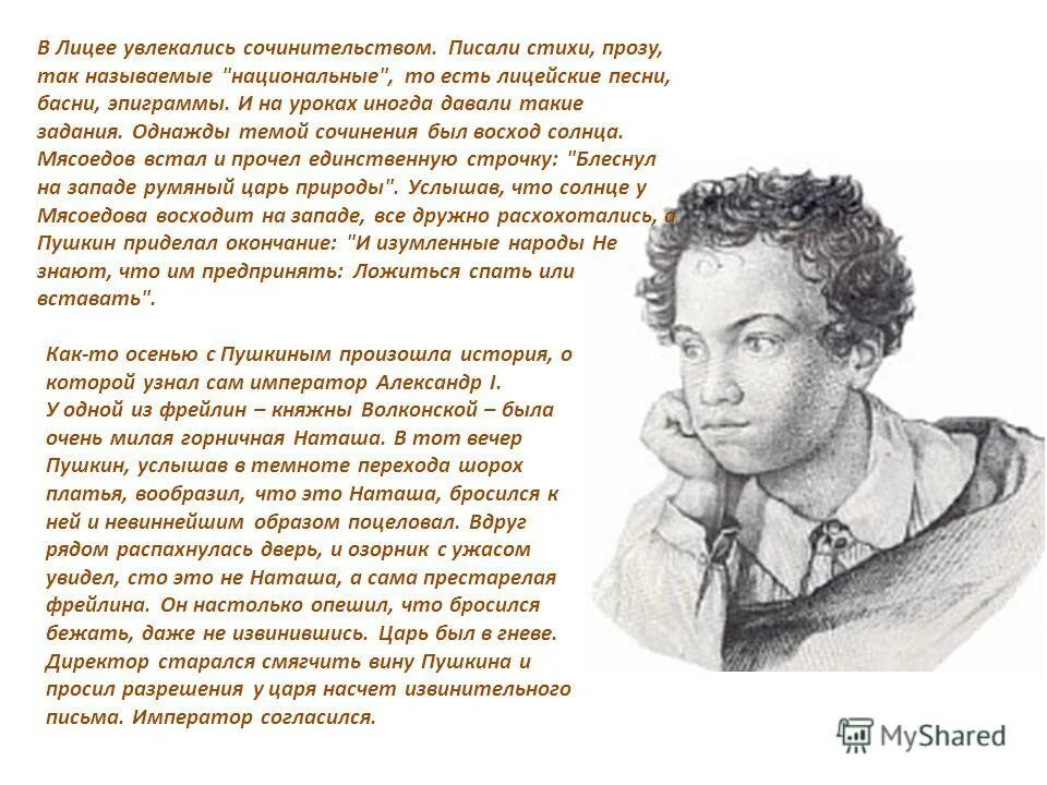 стих брату пушкин