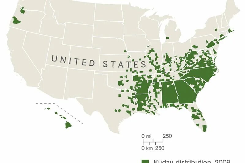 Kudzu Map of the us. CA distribution Ташкент. Spatial distribution of transport Network density. 250 USA Base. States activities