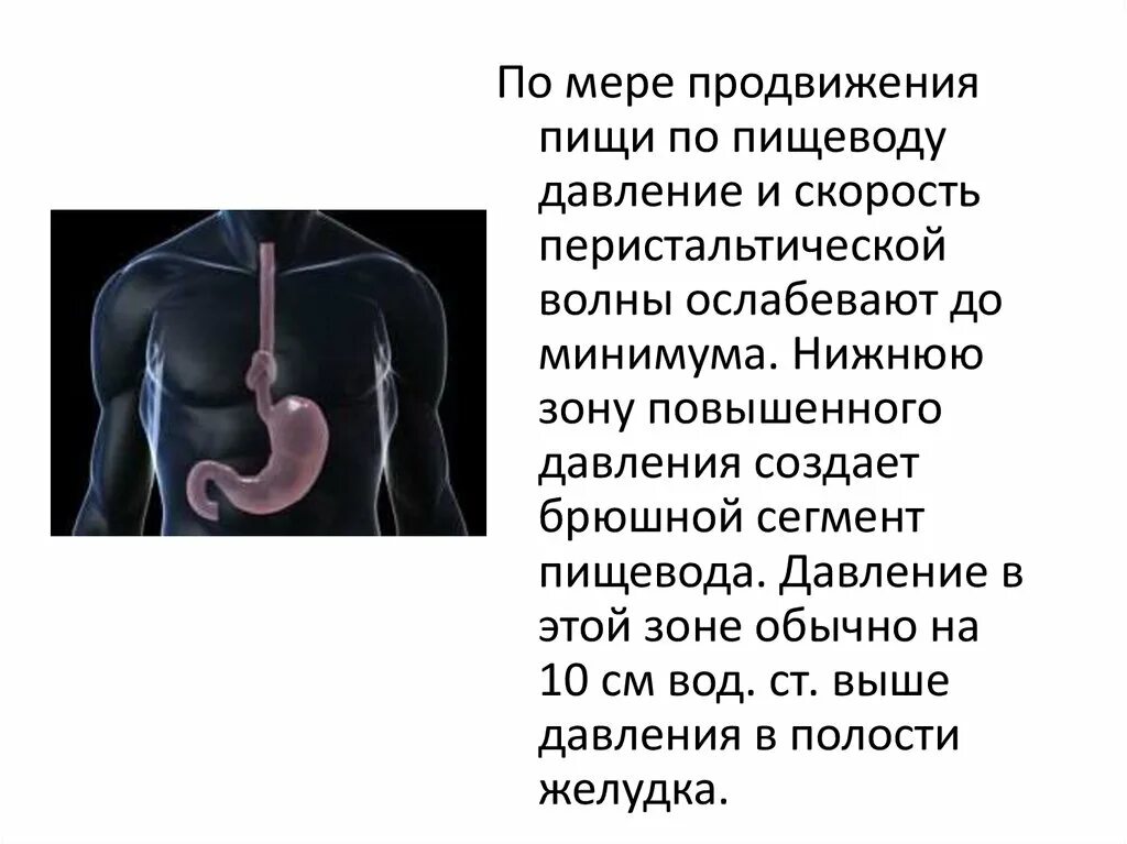 Пищевод пища время. Продвижение пищи по пищеводу. Движение пищи по пищеводу. Продвижению пищи по пищеводу способствует.