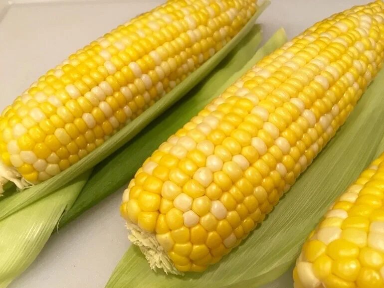 Семена кукурузы п7043. Кукуруза Мацусиро. Кукуруза в початках вареная. Кукурузный початок. Кукуруза вареная в початках