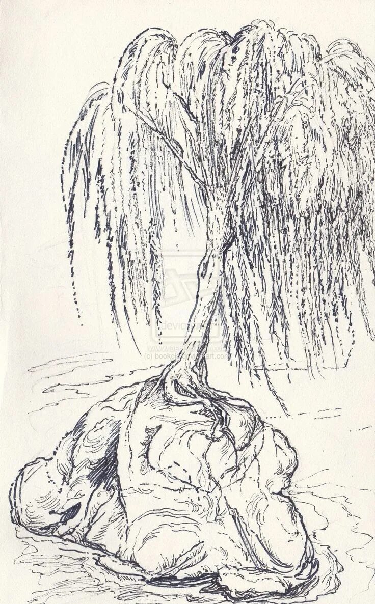 Ива графика. Плакучая ива графика. ива плакучая дерево эскиз. плакучая ива эскиз тату. плакучая ива скетч.