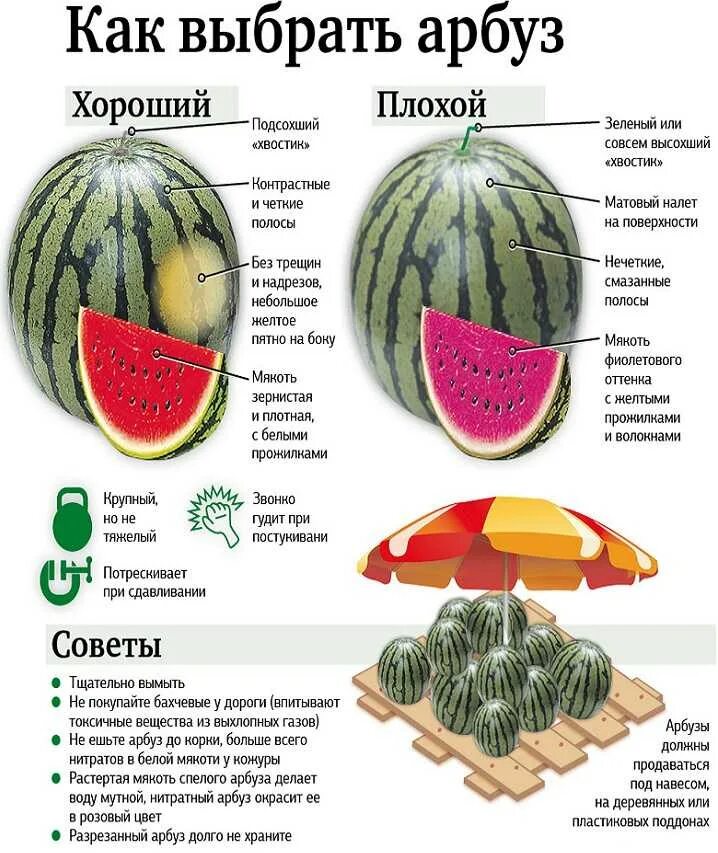Какое значение имеет мякоть