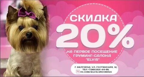 Школа груминга маленькая