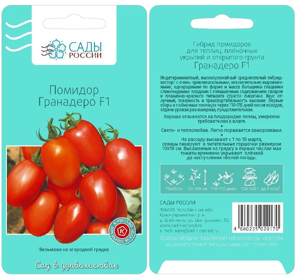 томат семко 98 f1. томат семко характеристика. помидоры сирано. томаты черри фирмы семко. томаты семена семко 98.