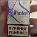 Винстон с двумя цена. Сигареты Winston xstyle Duo. Сигареты Винстон xstyle Dual. Сигареты Винстон с капсулой. Сигареты Winston xstyle Blue XS.
