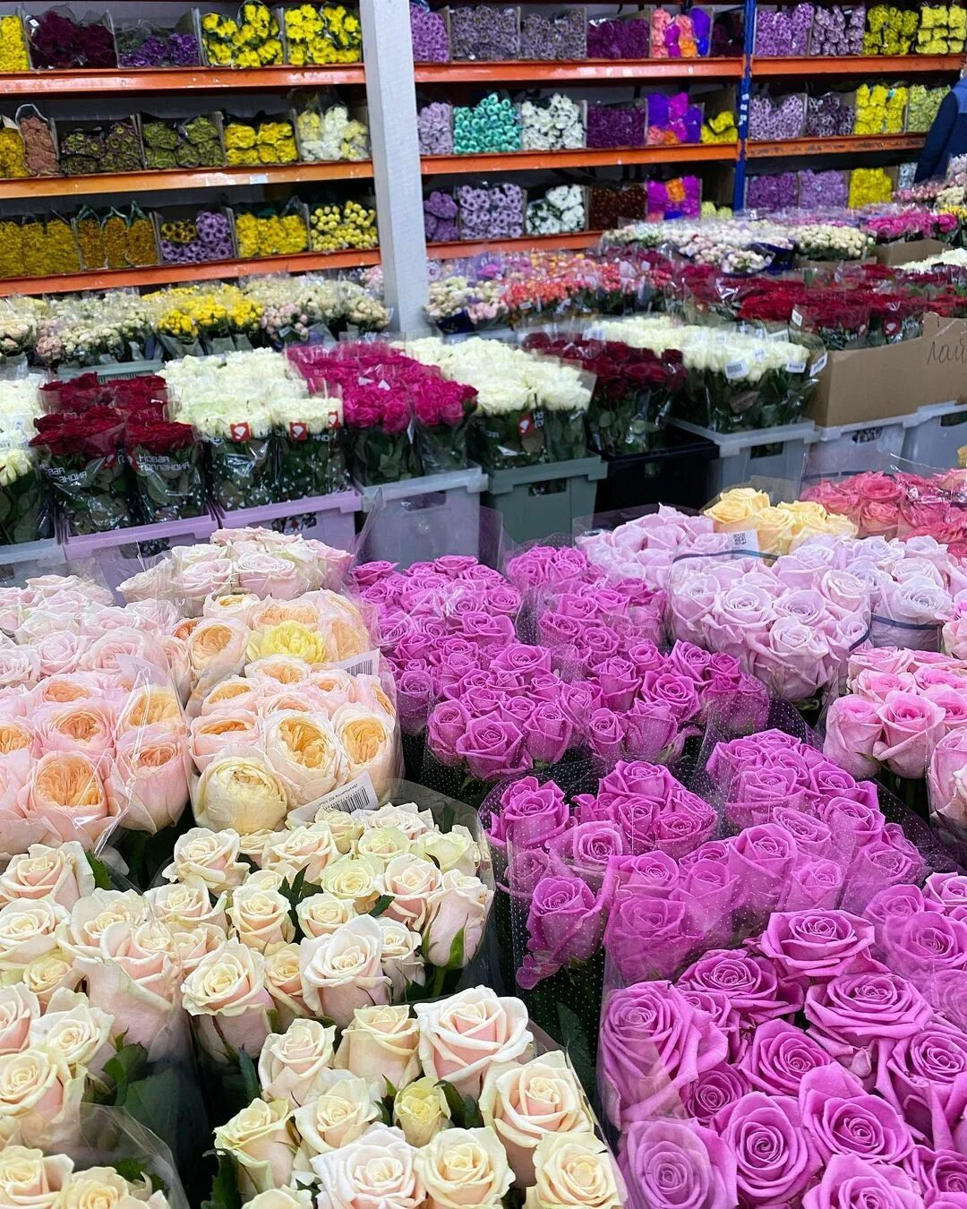 Флоревиль. Блэк баккара магазин рижская. Рижский рынок букеты. Блэк баккара цветы оптом. Рижский рынок, москва, проспект мира, 88.