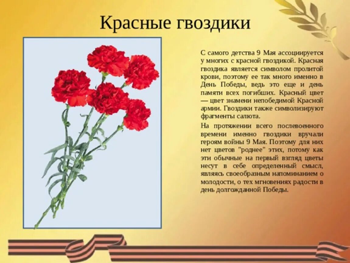 Стих гвоздики. Красная гвоздика что символизирует. Гвоздики что символизируют. Гвоздика описание цветка для детей. Красные гвоздики символ Победы.