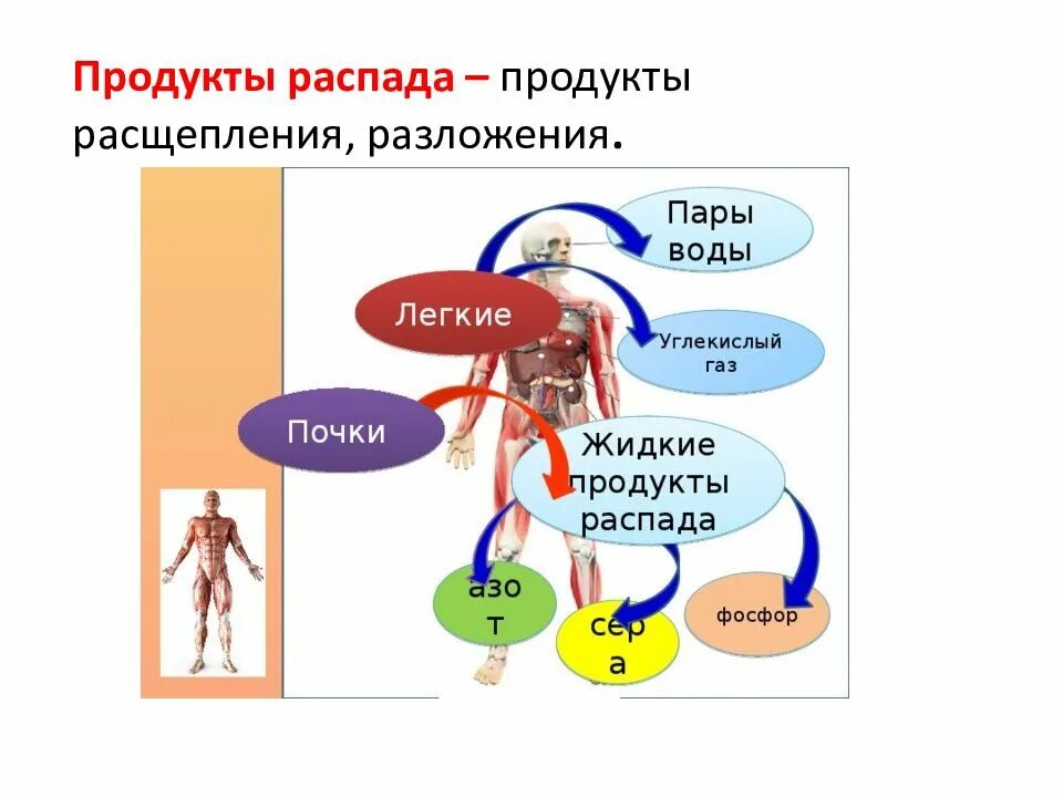 Жидкие продукты распада