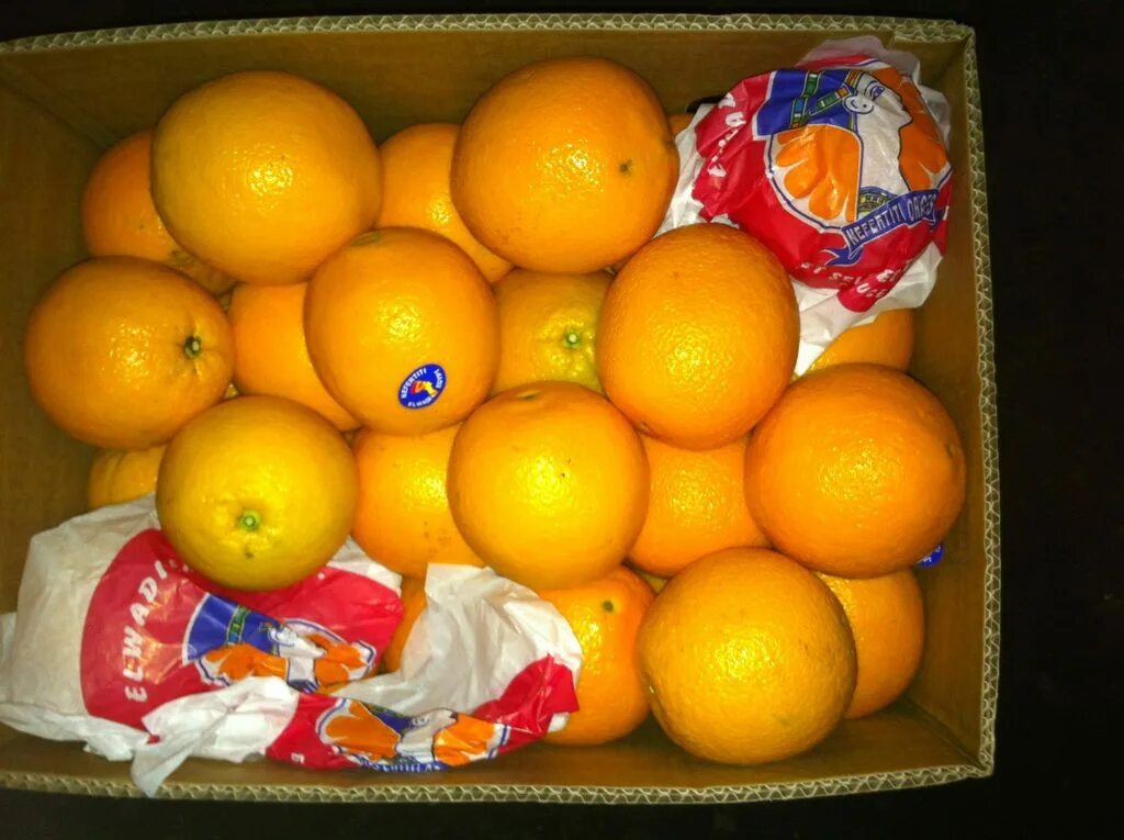 Апельсины страны производители. Апельсины производитель. Апельсины Египет. Апельсины из Египта. Апельсины импортные.
