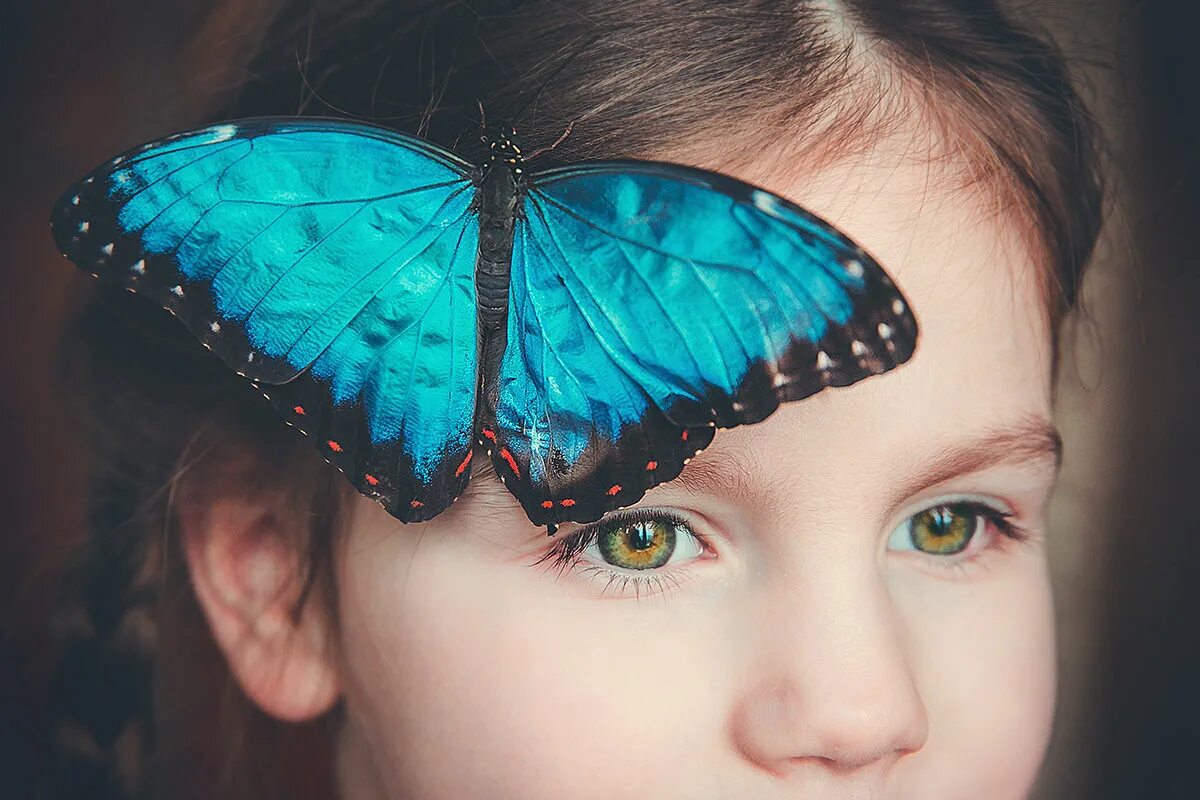 человек бабочка. бабочка на ладони. люди бабочки. бабочки-красавицы. люди бабочки.