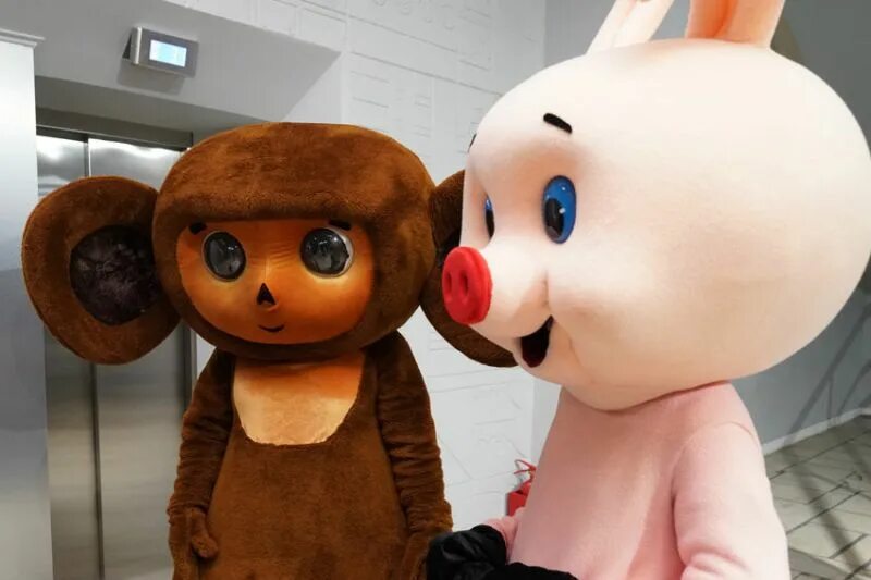 Поздравление чебурашки ростовая кукла. Ростовая кукла чебурашка нижний новгород. Чебурашка челябинск ростовая кукла. Чебурашка - борец ростовая кукла. Поздравление чебурашки ростовая кукла.