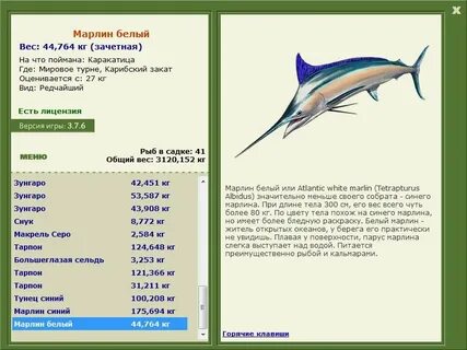 Marlin перевод