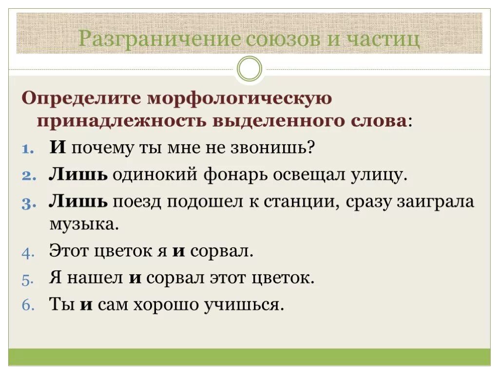 Морфологические характеристики союза также. Морфологическая принадлежность это. Разграничение союзов и союзных слов. Определить морфологическую принадлежность. Морфологическая принадлежность слова вокруг.