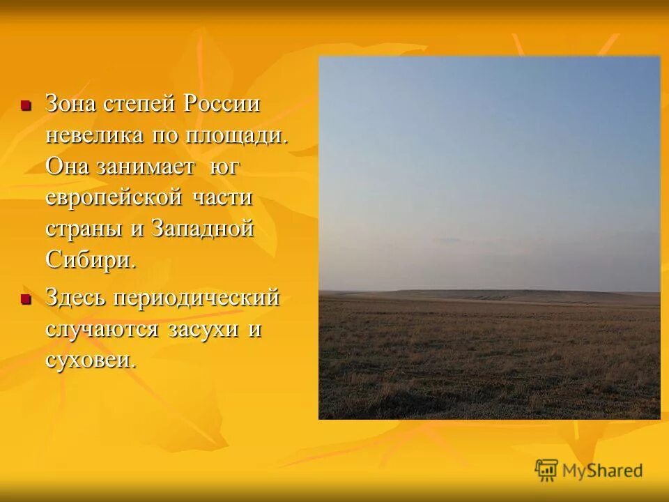 лесостепные и степные зоны россии. зоны россии степь 4 класс. природные зоны россии зона степей. природа степной зоны россии. степи западно сибирской равнины.