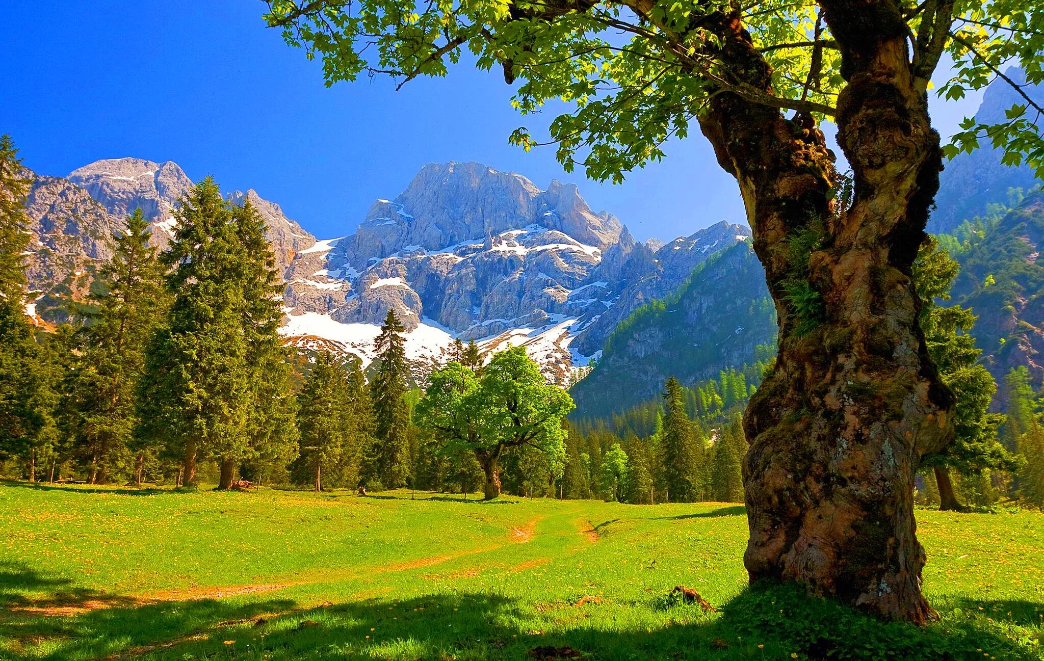 Natural view. Табиат манзараси. Швейцария табиати. Швейцария манзаралари. ТОГЛАР манзараси.