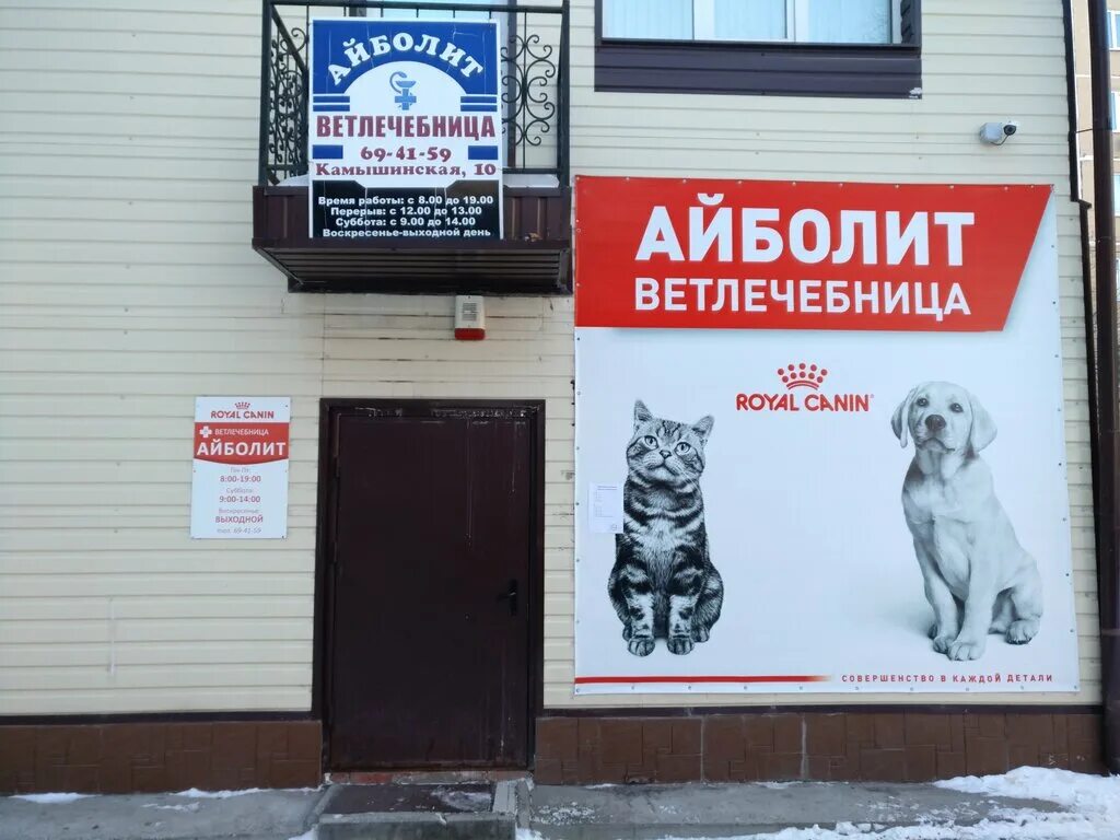 лысково ветеринарная клиника айболит. айболит ветеринарная клиника волгоград краснополянская 30. ветклиника айболит часы работы. айболит бердск ветеринарная клиника. режим работы ветеринарной клиники.