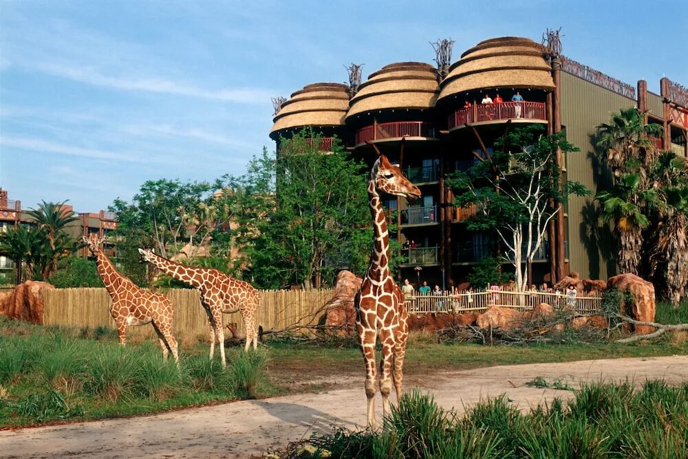 Гостиницы с зоопарком. Дисней Энимал кингдом. Парк animal Kingdom at Disney World. Парк отель зоопарк.