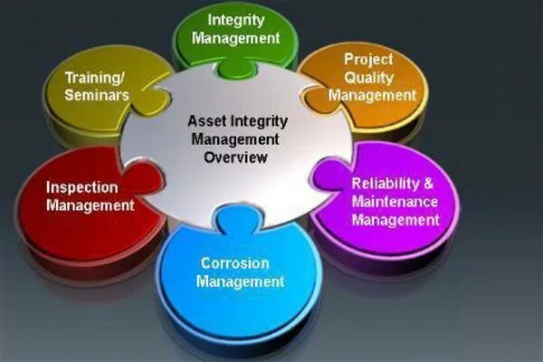 Integrity systems. Asset Integrity Management. Asset Integrity Management System. Integrity in Management. Эссет менеджмент Солюшнс.