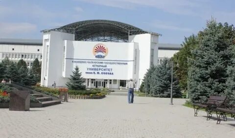 Университет г нальчик