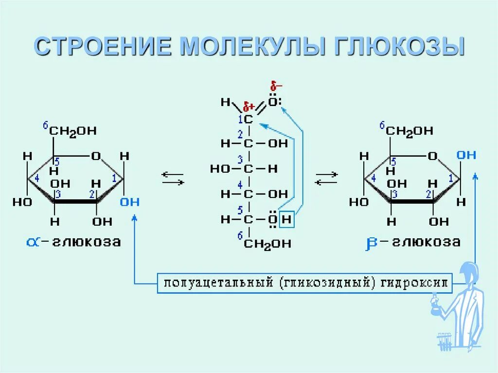 Форма молекул глюкозы. Альфа и бета Глюкоза формула. Альфа и бета формы д Глюкозы. Альфа Глюкоза Бетта глбкоща. Глюкоза химия Альфа.