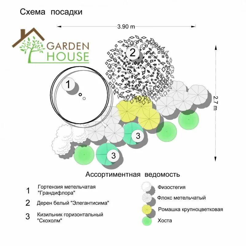 Схема цветника с метельчатой гортензией. Цветник с гортензией схема посадки. Клумба с гортензией метельчатой схема. Миксбордер из хвойных и многолетников схемы. На каком расстоянии сажать гортензии друг