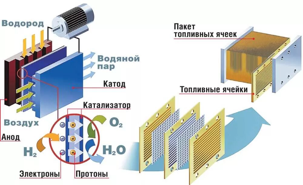 Водородный модуль. Топливный элемент с протонообменной мембраной. Устройство топливного элемента на водороде. Топливный элемент с протонообменной мембраной устройство. Водородный топливный элемент макет.