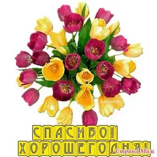 Хорошо дорогая спасибо большое