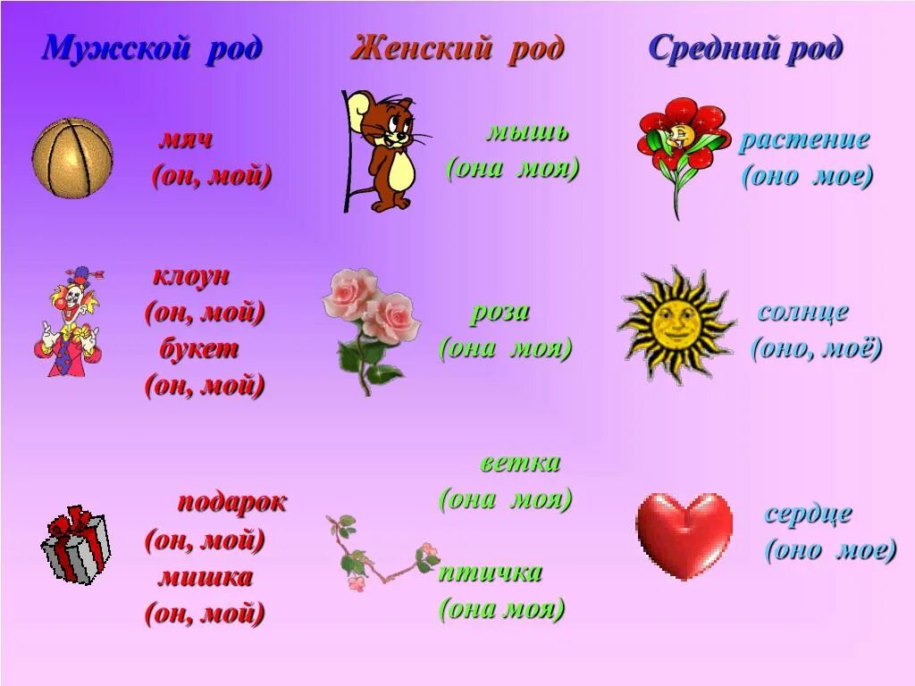 Мужской род примеры слов. Женский род. Мужской женский средний род. Мужской род женский род средний род. Слова мужского женского и среднего рода.