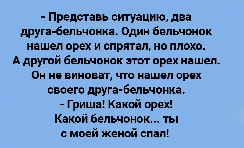 Максимально представить ситуацию. Какой Бельчонок какой орех ты жену. Представь ситуацию два друга бельчонка. Представьте ситуацию. Представь ситуацию Бельчонок.