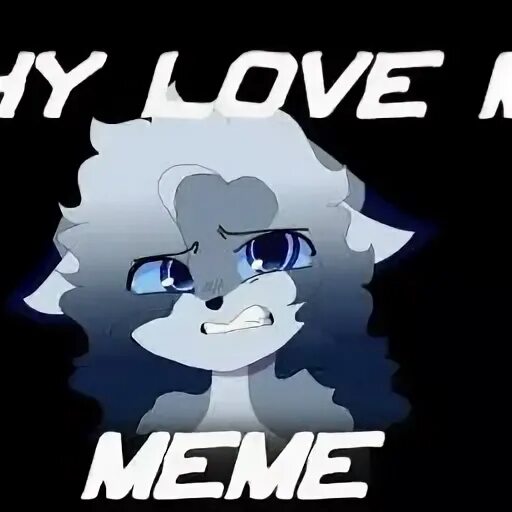 Why do you love