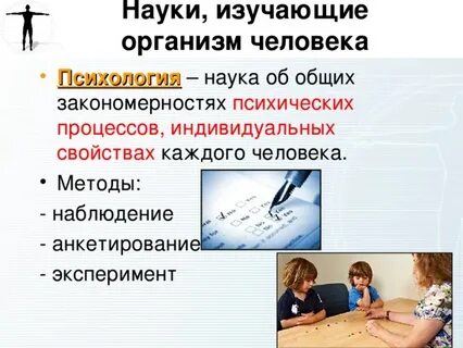 Какая наука изучает работу органов человека