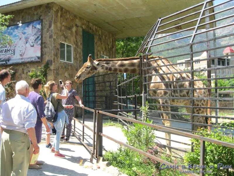 Зоопарк сказка ялта фото Файл:Yalta zoo mountains panoramic  Википедия