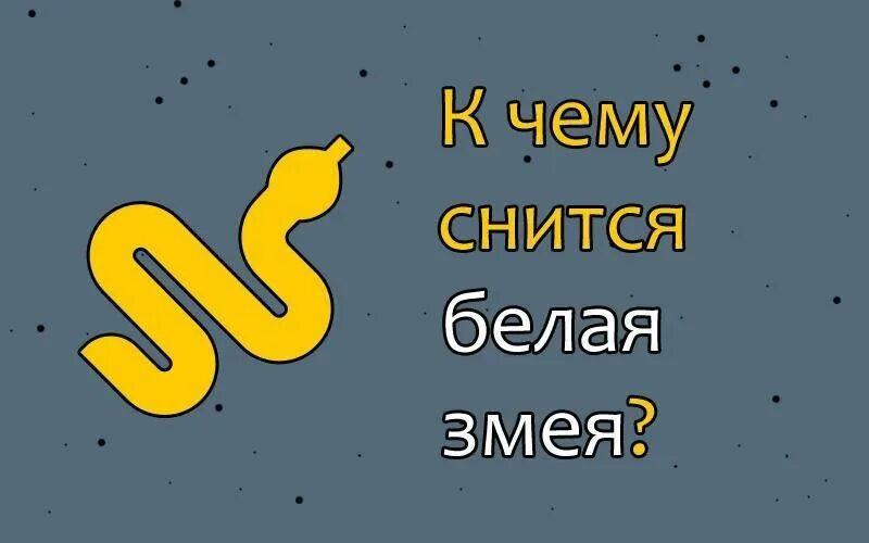 Сонник к чему снятся змеи во сне женщине. К чему снится свадьба своя незамужней девушке. К чему снятся удавы во сне женщине. К чему снятся дохлые змеи. К чему снятся удавы во сне женщине.