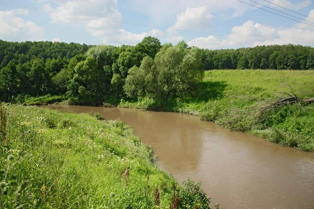 Тарусский р. Река Ока Таруса. Долина грез Таруса. Таруса природа. Таруса город.