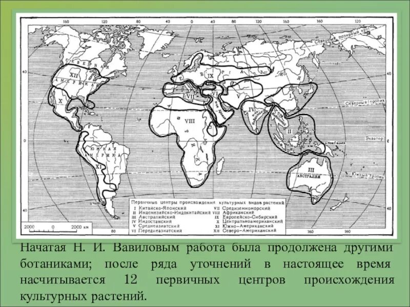 Центры культурных растений Вавилова. Таблица Вавилова центры происхождения культурных растений. Центры происхождения культурных растений карта. Восточноазиатский центр происхождения культурных