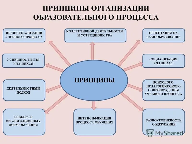 Образовательный процесс в учреждениях дополнительного образования. Принципы организации педагогического процесса. Принципы организации образовательного процесса. Формы организации учебного процесса. Индивидуализация учебного процесса.