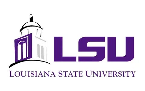 Louisiana State University Scholarships 2026