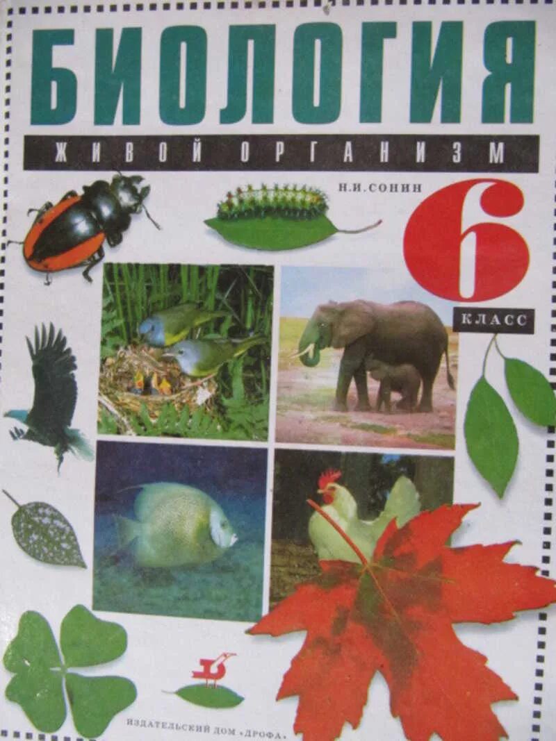 Биология 5 класс учебник 26. Сонин биология 6. Учебник по биологии. Н.И.Сонин. Биология. Биология. 6 Класс. Учебник.