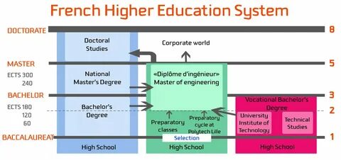 Role of higher education