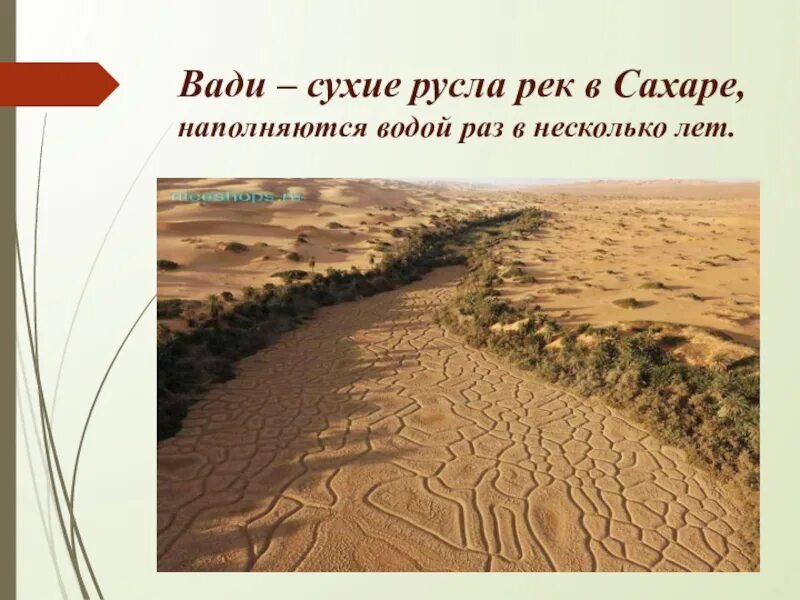 Сухие реки в африке. Пересохшая водохранилище симферополь. Вади пересыхающие реки африки. Пересыхающие русла рек в африке. Пересыхающие русла рек в африке.