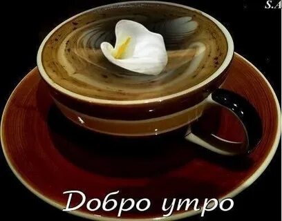 Добрый день по сербски