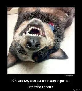 Ври лучше песня