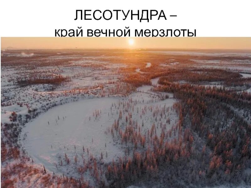 Лесотундра. Лесотундра климат. Климат лесотундры в России. Тундра и лесотундра климат. Температура в тундре зимой и летом